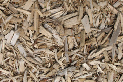 biomass boilers Dunchideock